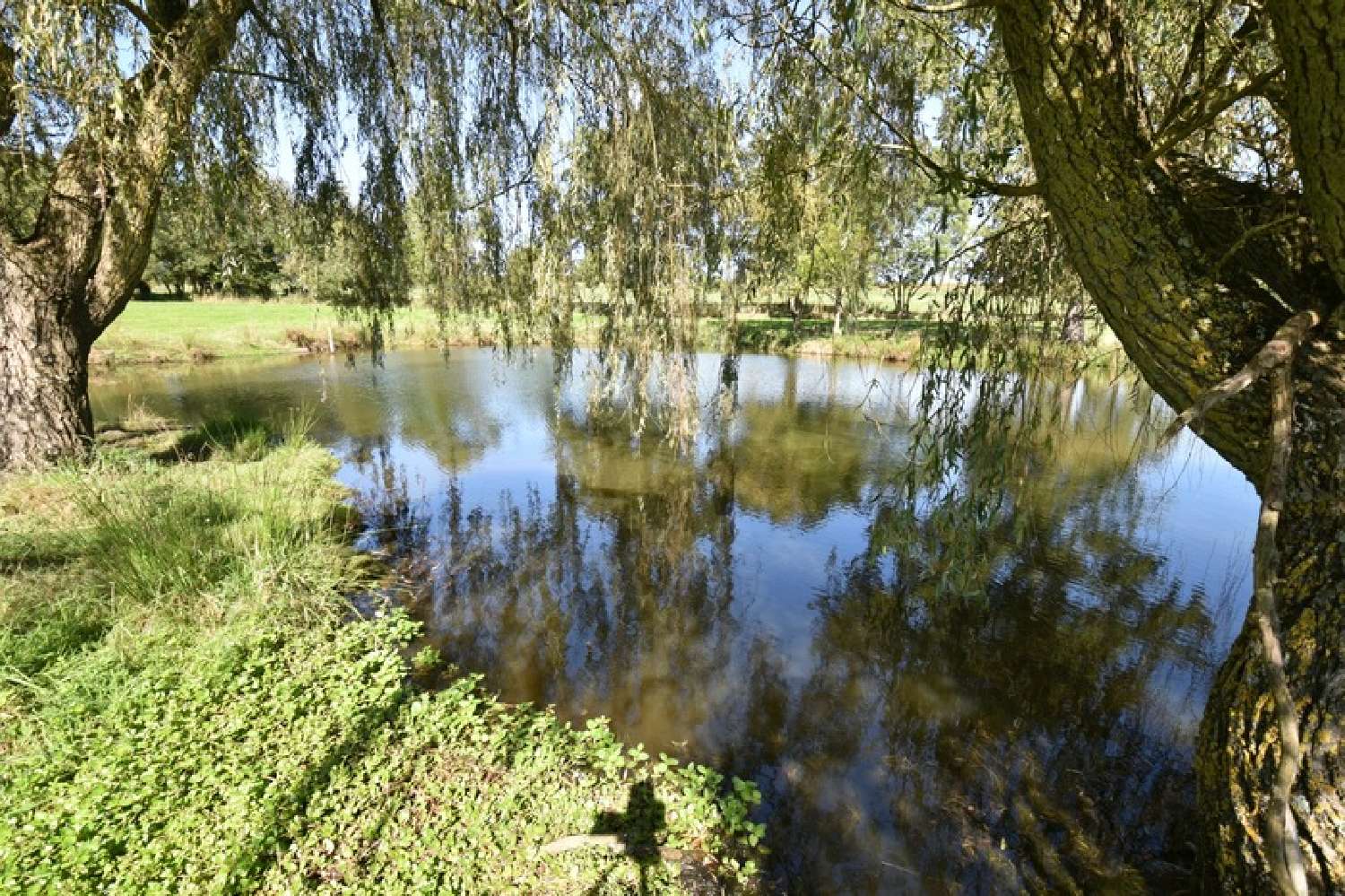 for sale terrain Ancenis Loire-Atlantique 2