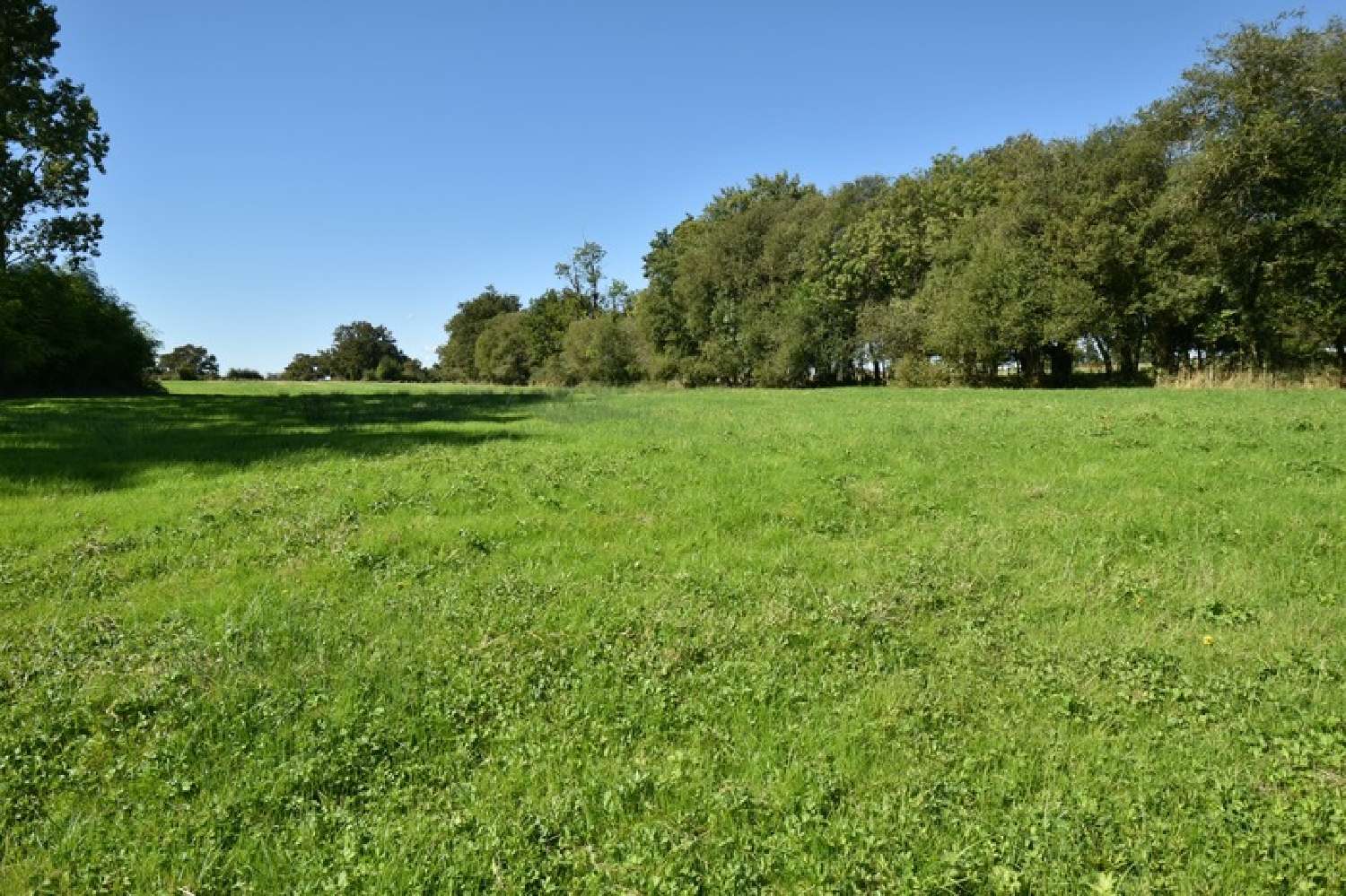 for sale terrain Ancenis Loire-Atlantique 5