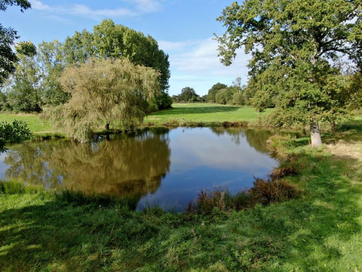 for sale terrain Ancenis Loire-Atlantique 7