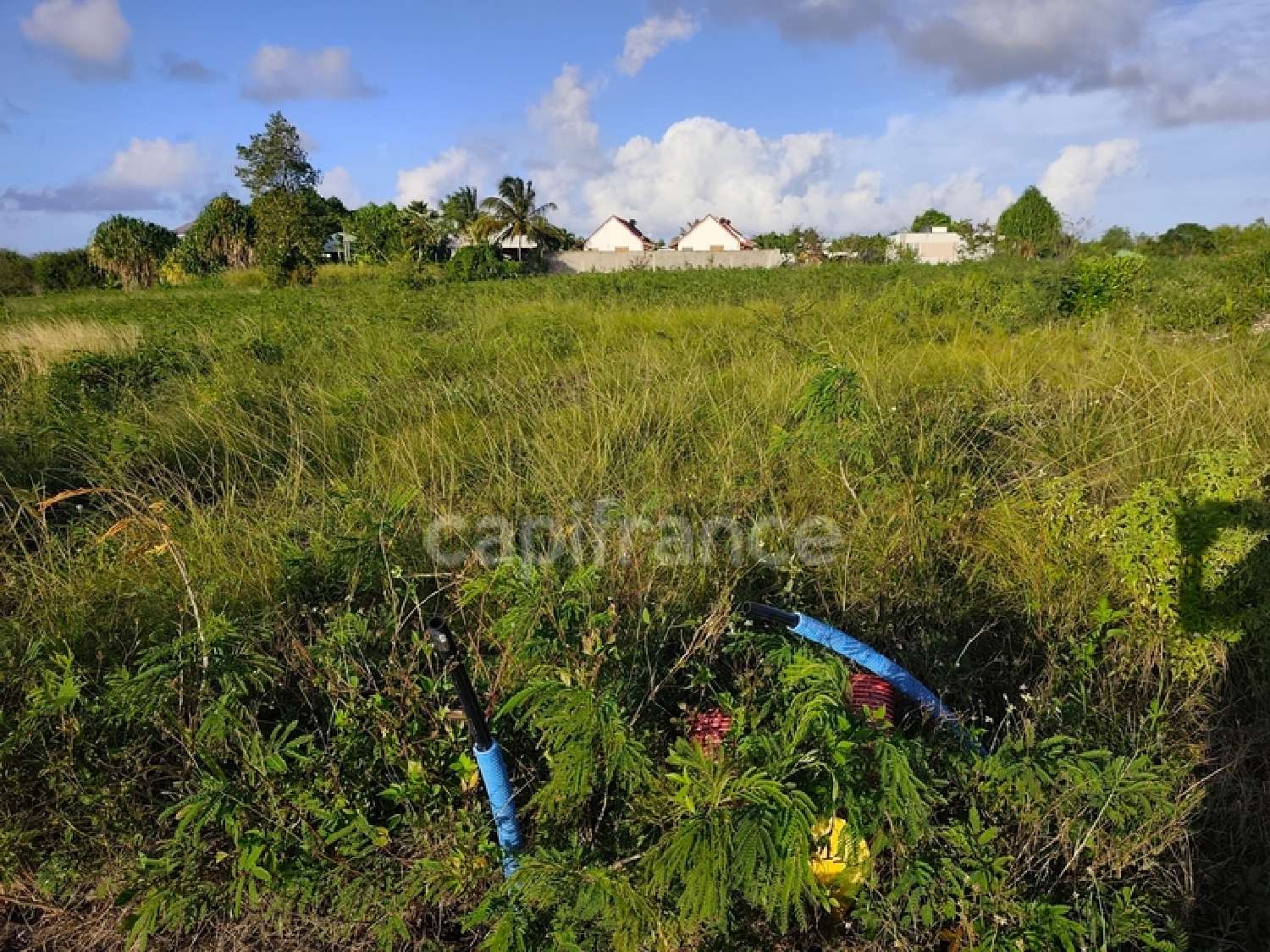  te koop terrein Anse-Bertrand Guadeloupe 3