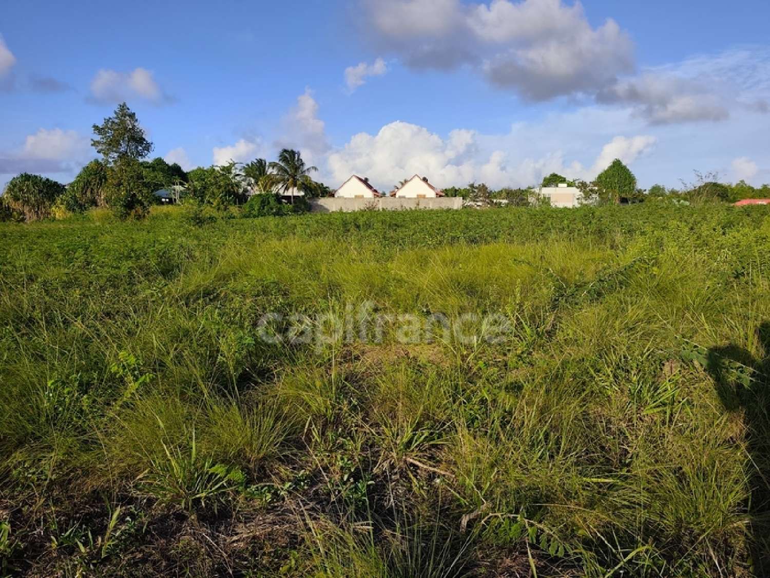  te koop terrein Anse-Bertrand Guadeloupe 5
