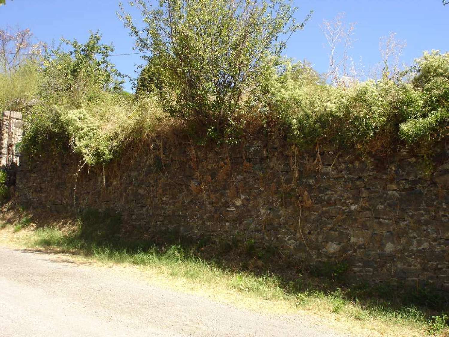 te koop terrein Aumessas Gard 3