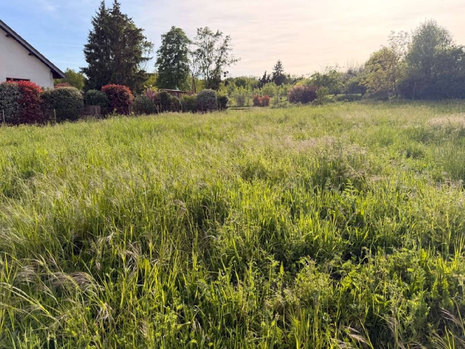  à vendre terrain Auxonne Côte-d'Or 5