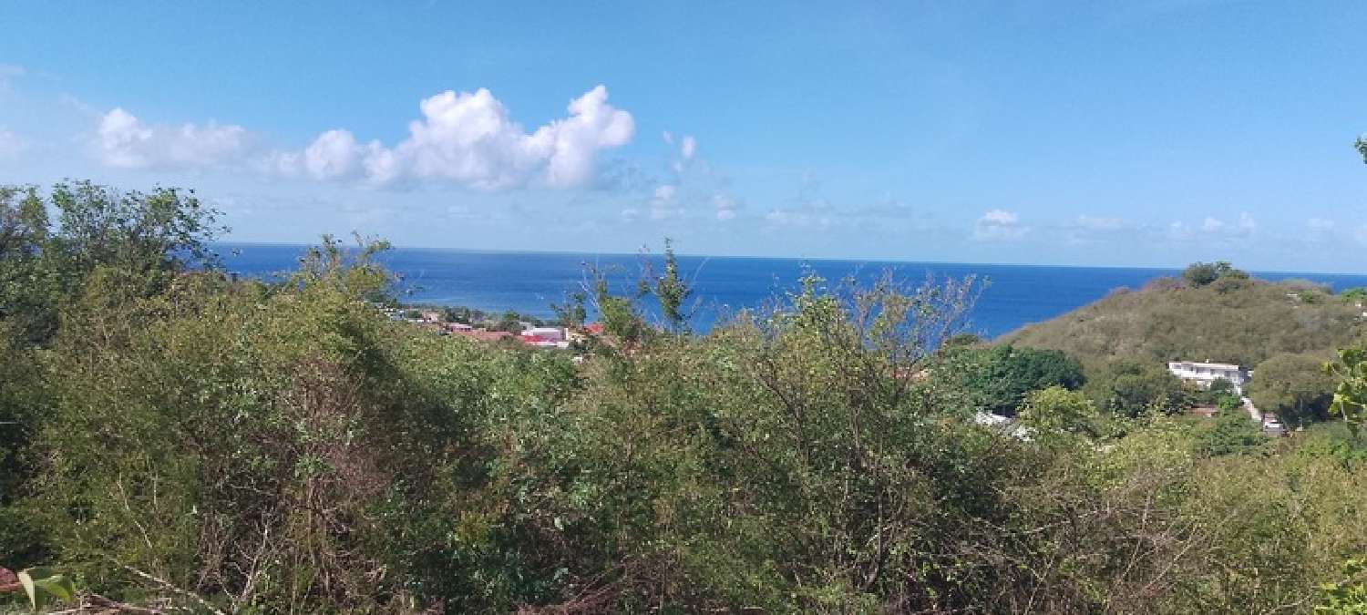  à vendre terrain Baillif Guadeloupe 1