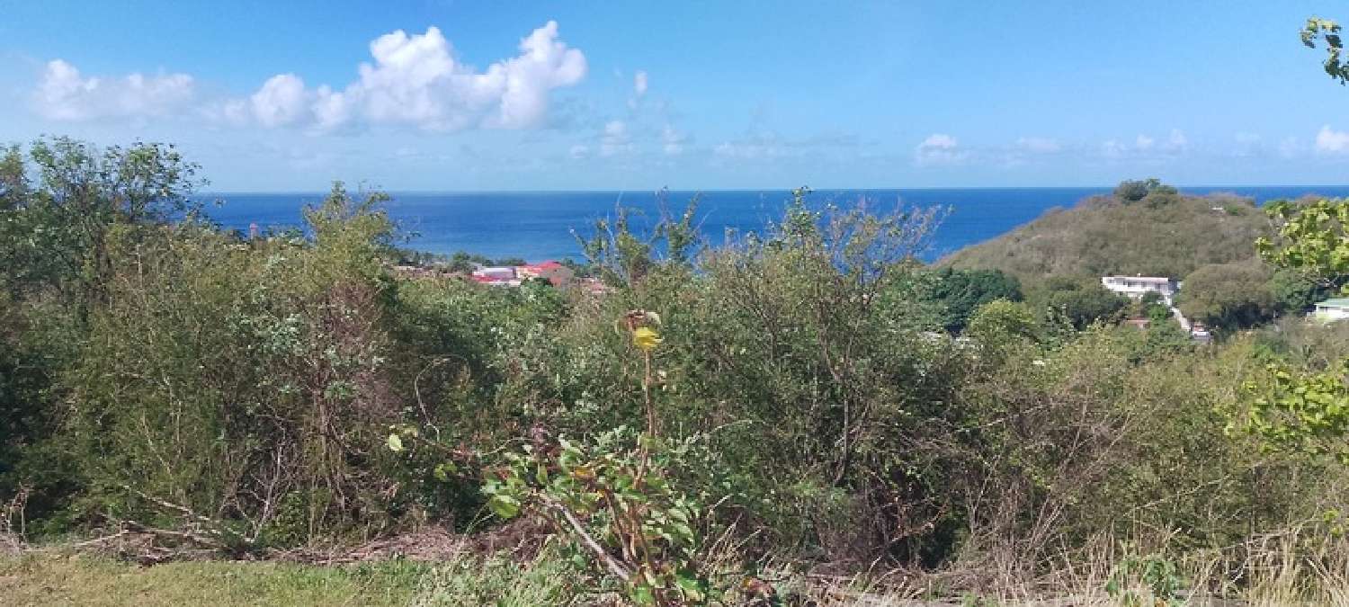  à vendre terrain Baillif Guadeloupe 2