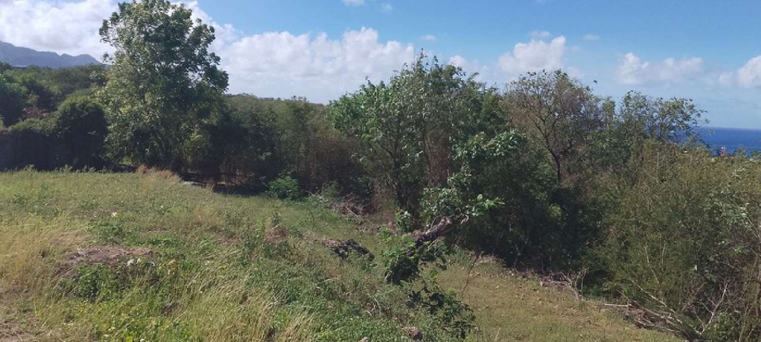  à vendre terrain Baillif Guadeloupe 3