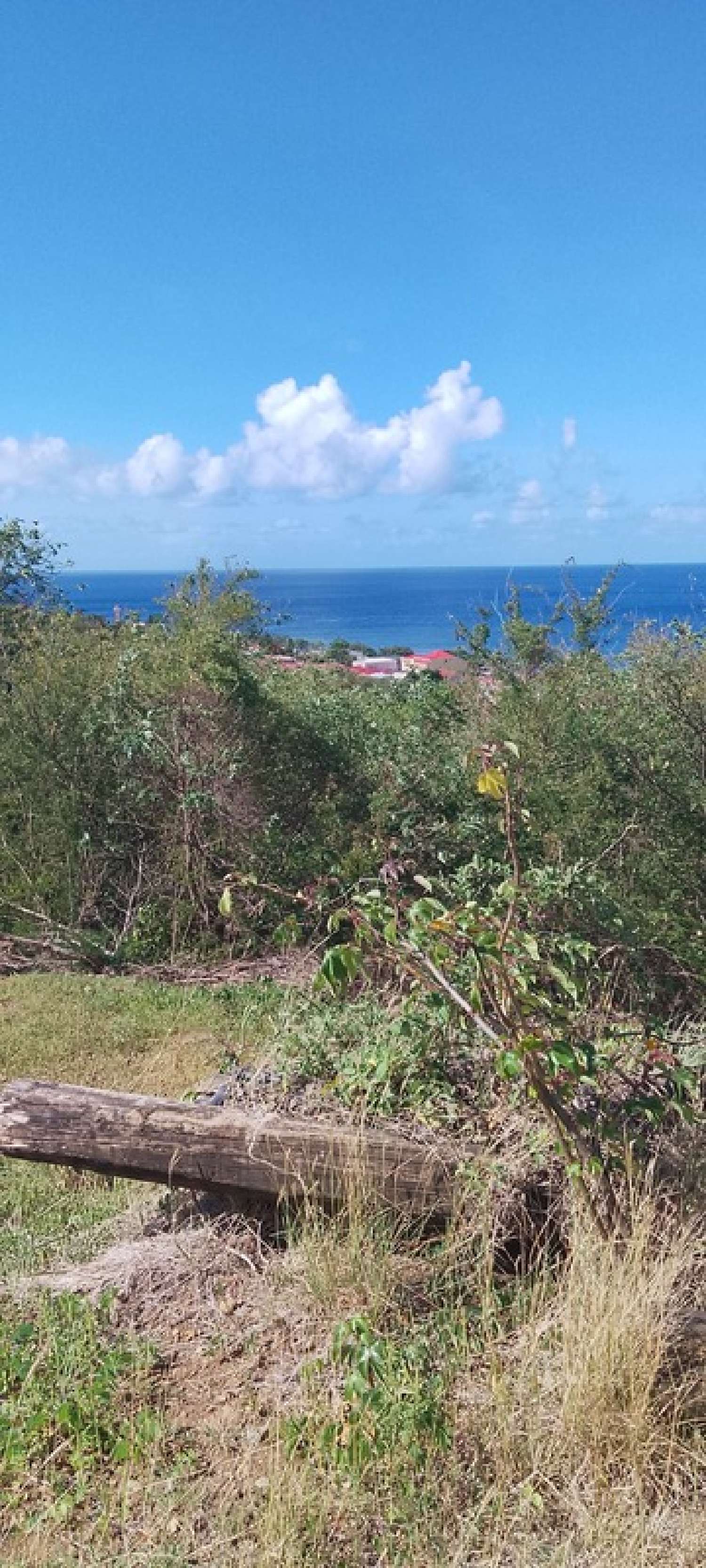  à vendre terrain Baillif Guadeloupe 4