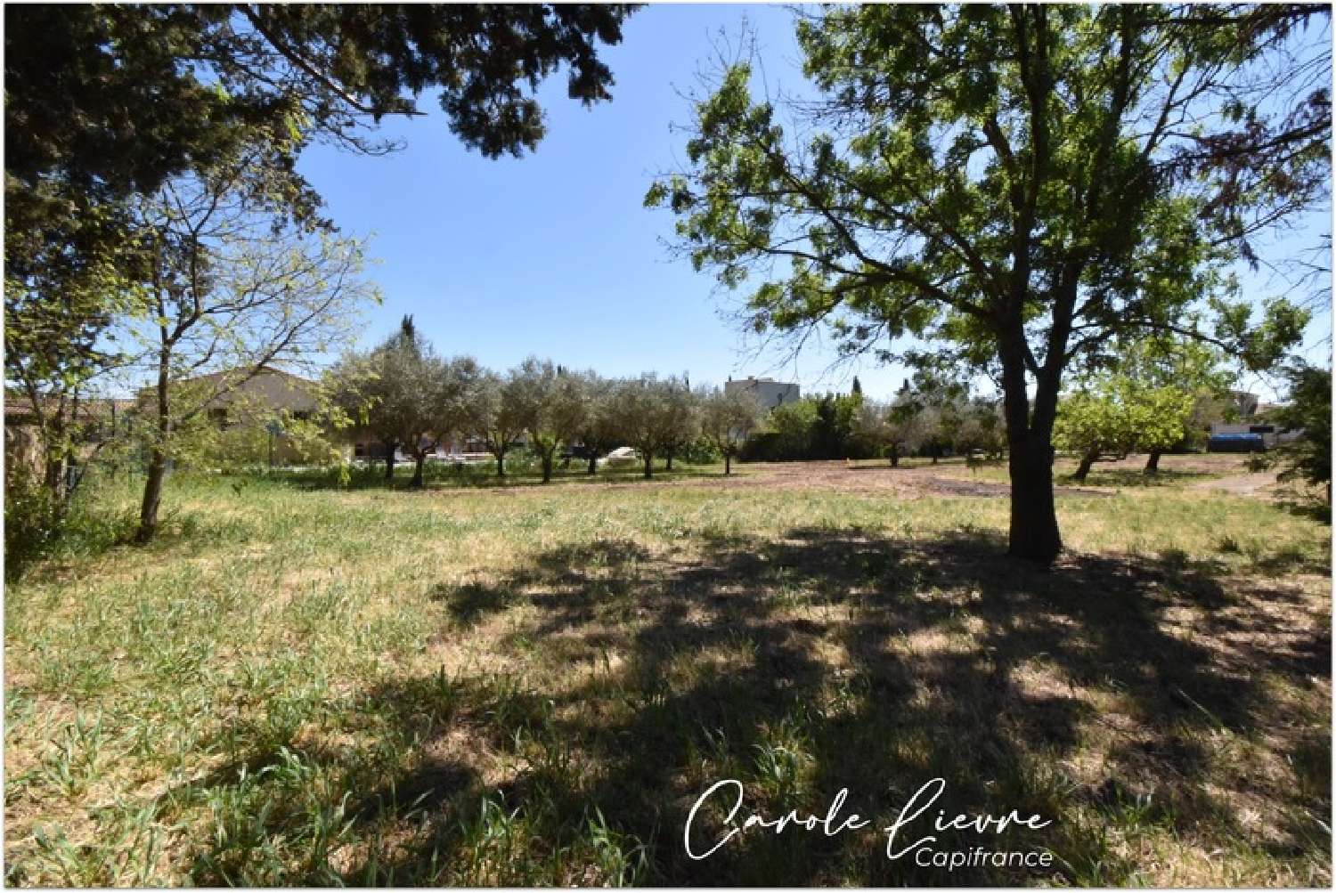  for sale terrain Bélarga Hérault 1
