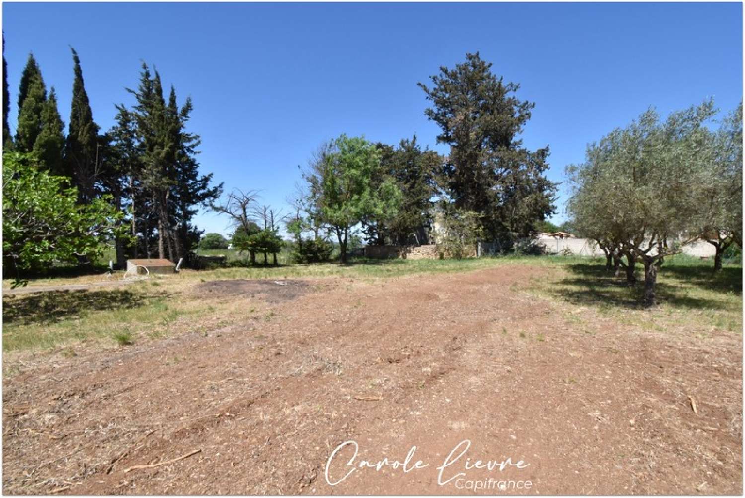  for sale terrain Bélarga Hérault 2
