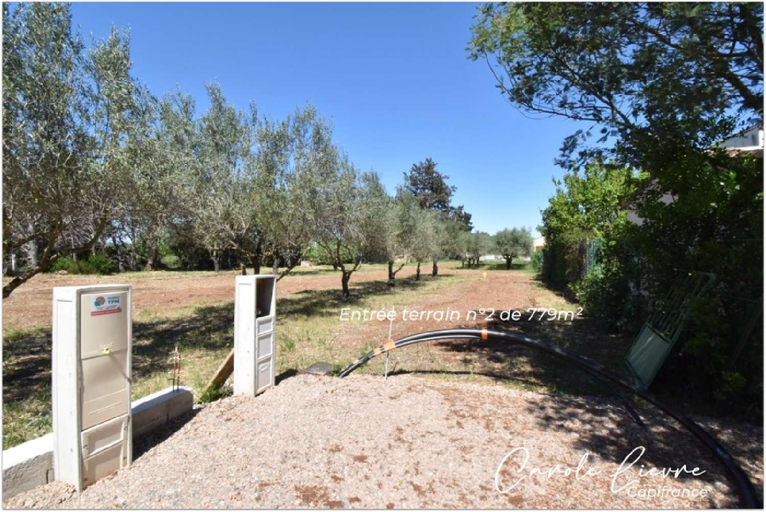  for sale terrain Bélarga Hérault 3