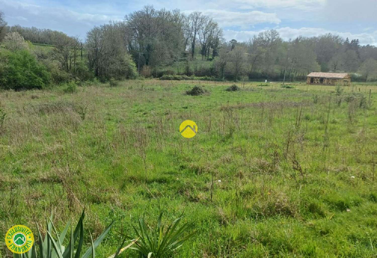  te koop terrein Beleymas Dordogne 4