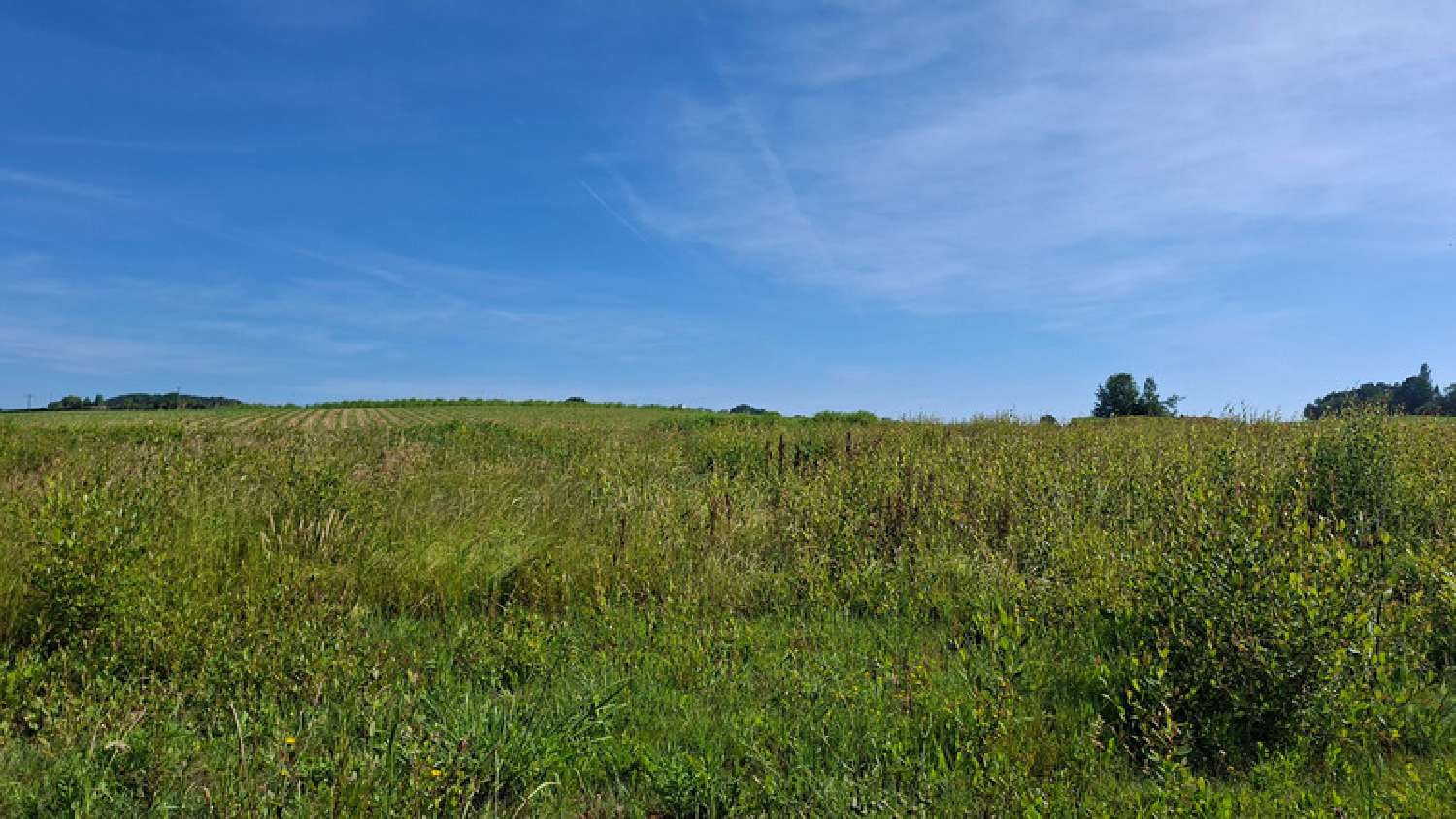 à vendre terrain Bidache Pyrénées-Atlantiques 1