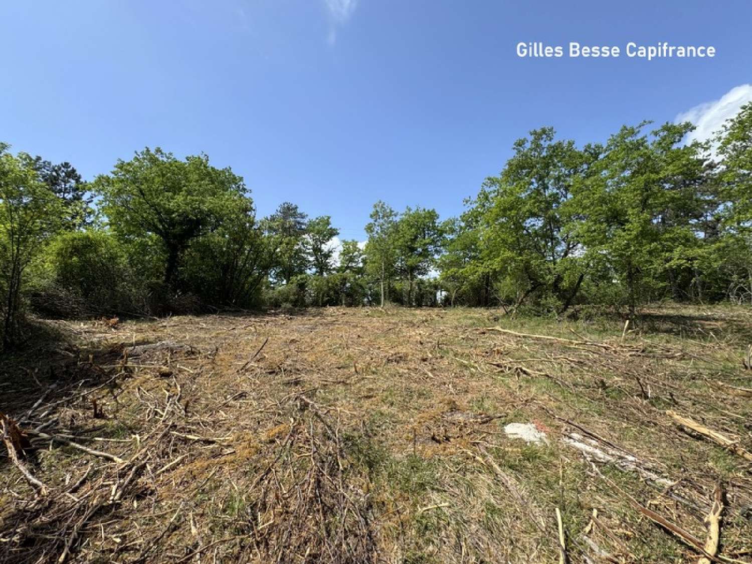 for sale terrain Blis-et-Born Dordogne 2