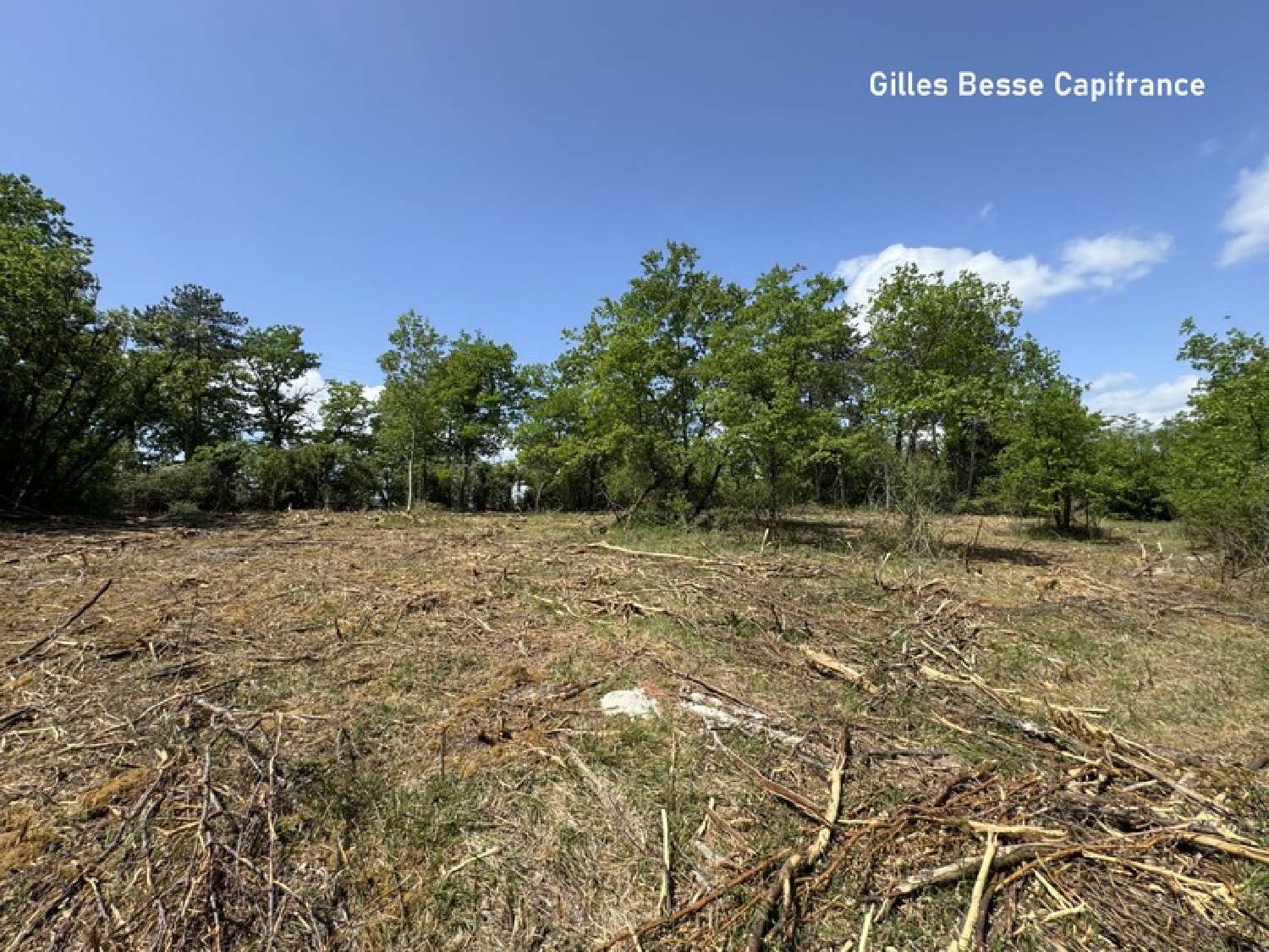  for sale terrain Blis-et-Born Dordogne 3