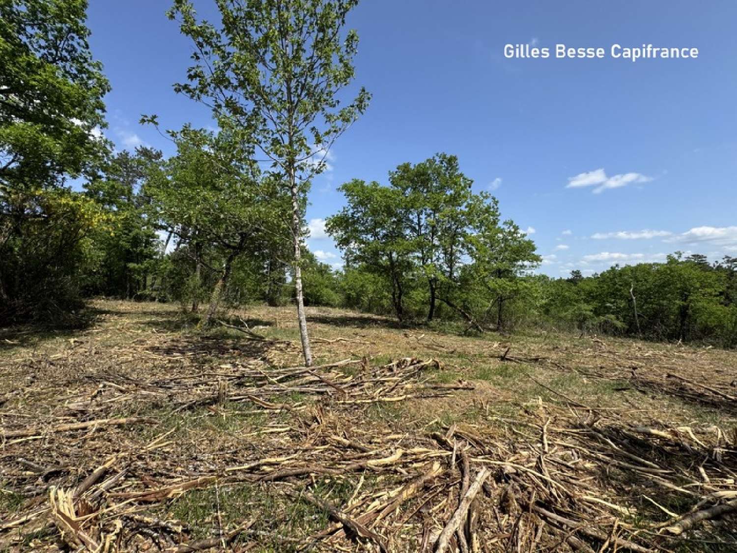  for sale terrain Blis-et-Born Dordogne 5