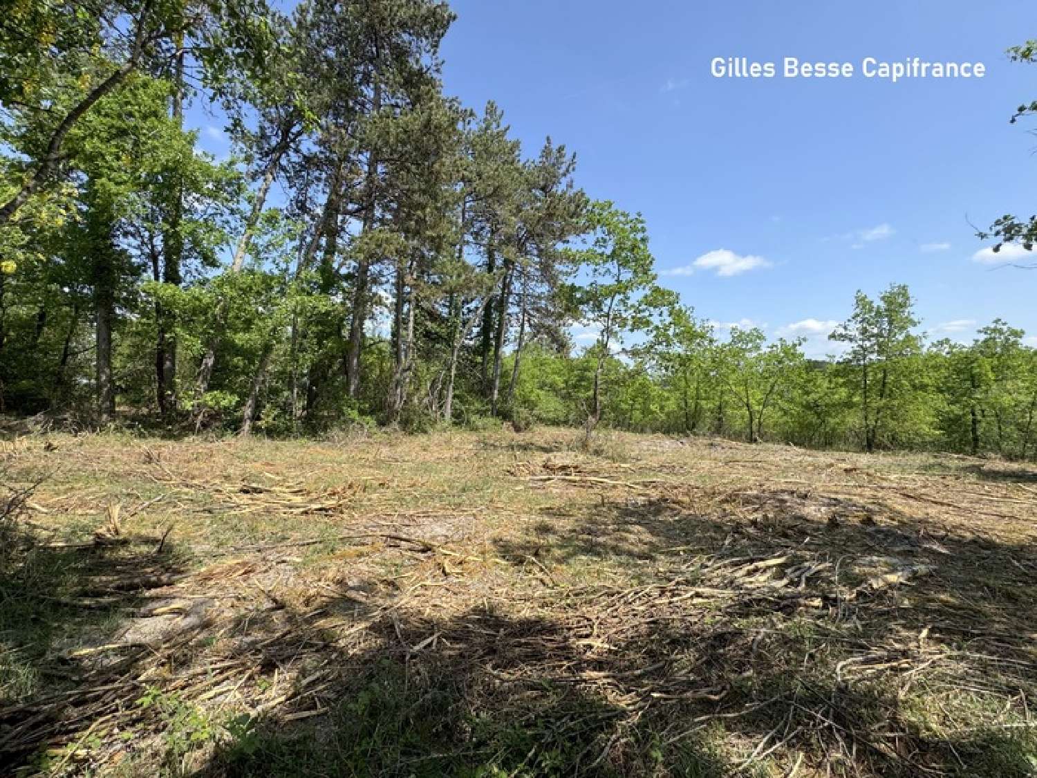  for sale terrain Blis-et-Born Dordogne 8