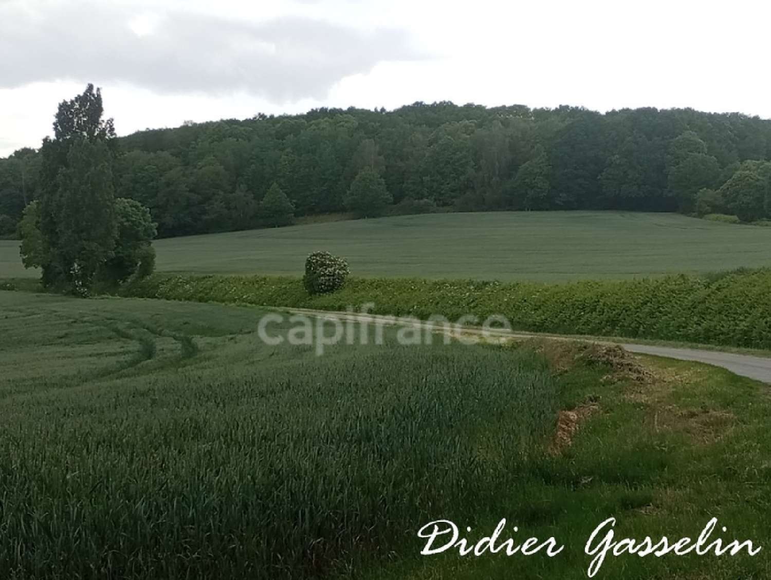kaufen Grundstück Brunelles Eure-et-Loir 2
