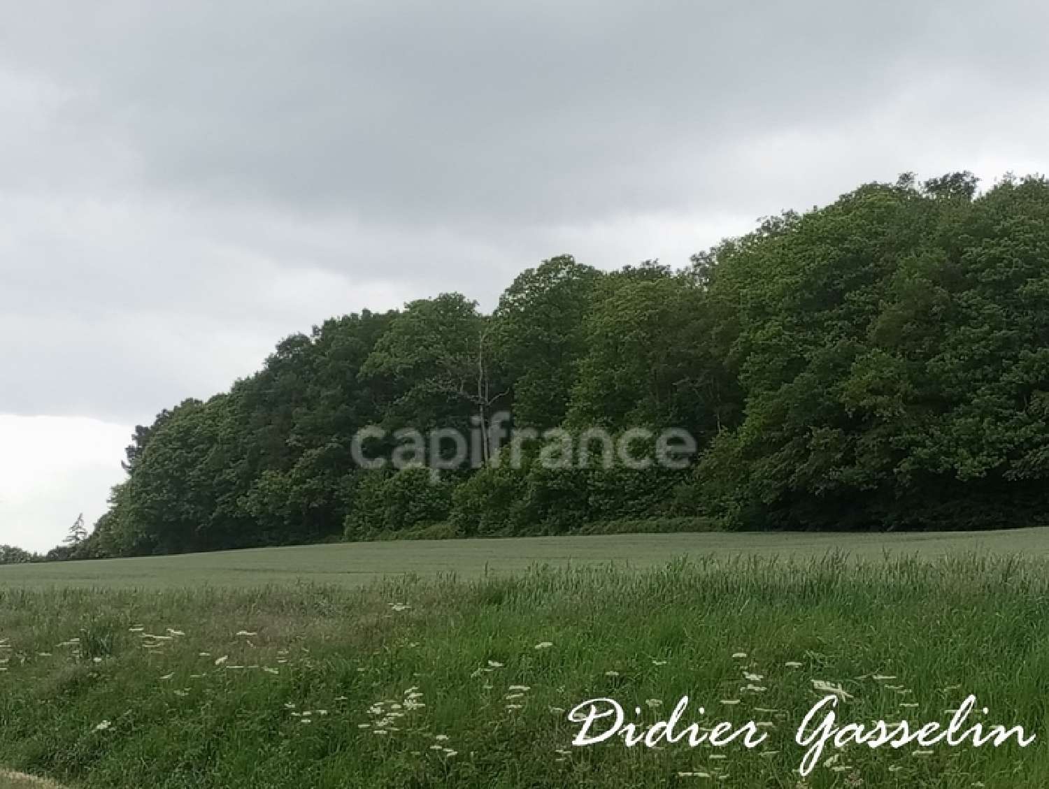 kaufen Grundstück Brunelles Eure-et-Loir 4