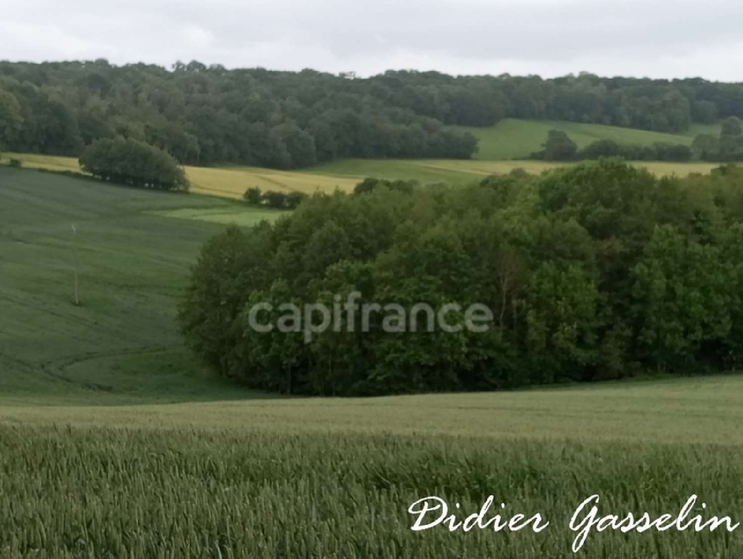kaufen Grundstück Brunelles Eure-et-Loir 7