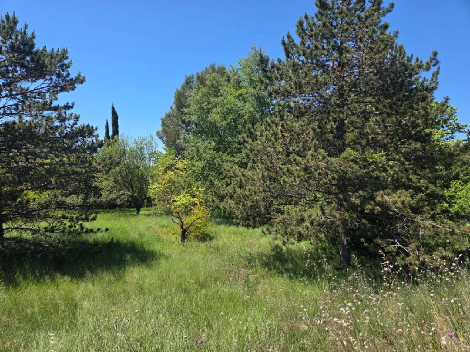  en venta terreno Cabriès Bocas del Ródano 3