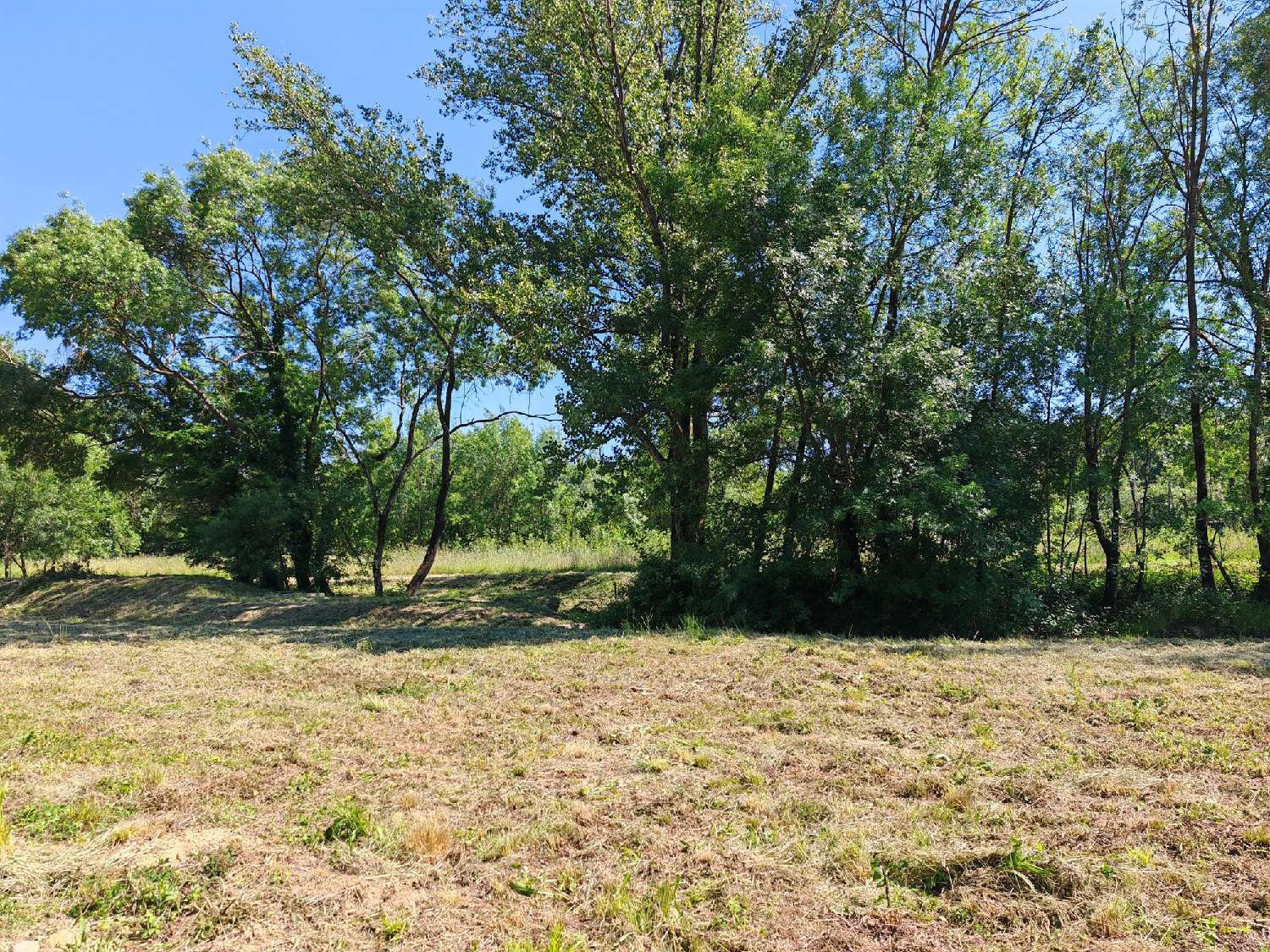 te koop terrein Causse-de-la-Selle Hérault 1
