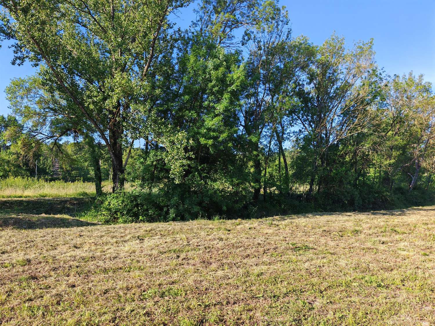 te koop terrein Causse-de-la-Selle Hérault 2