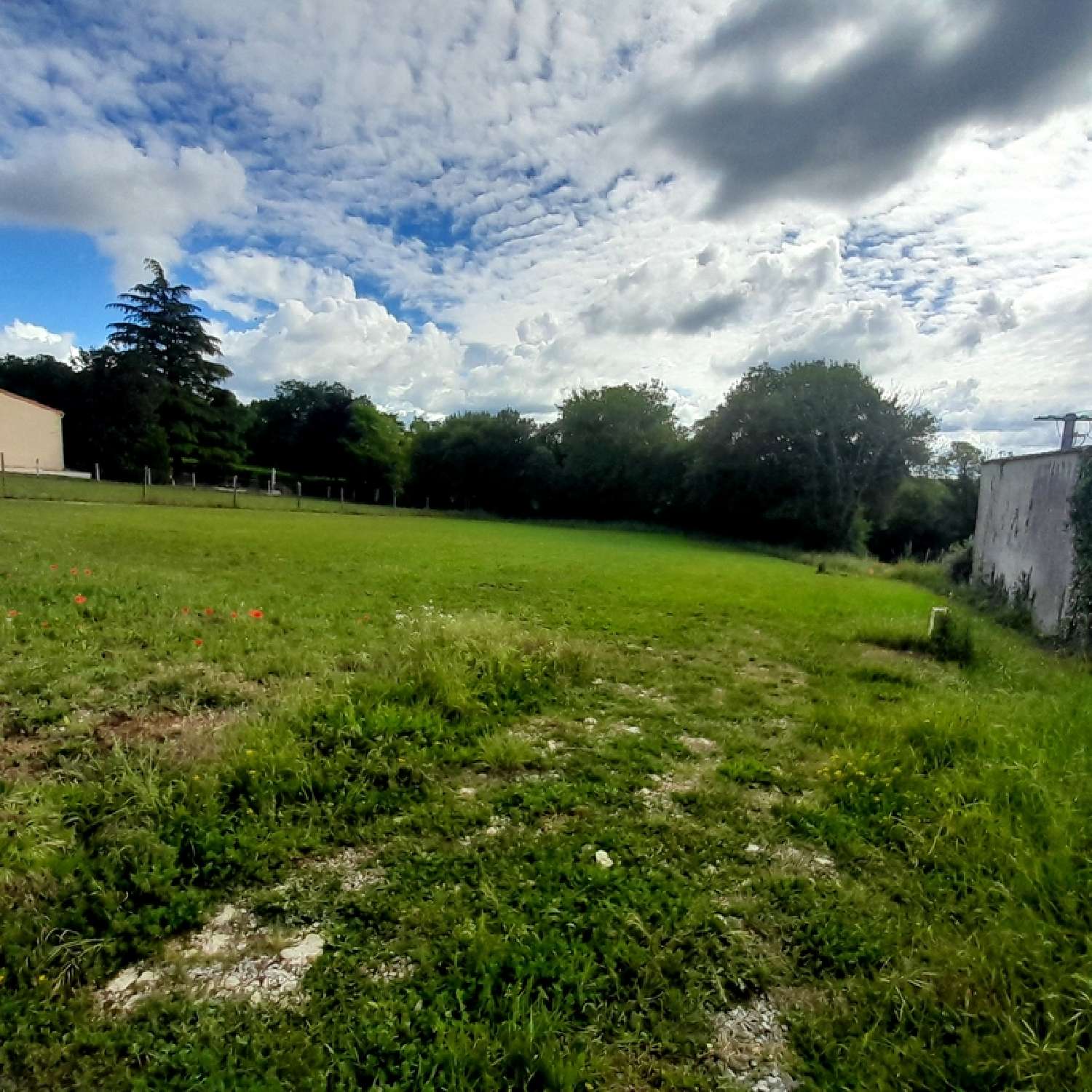  for sale terrain Champniers Charente 3