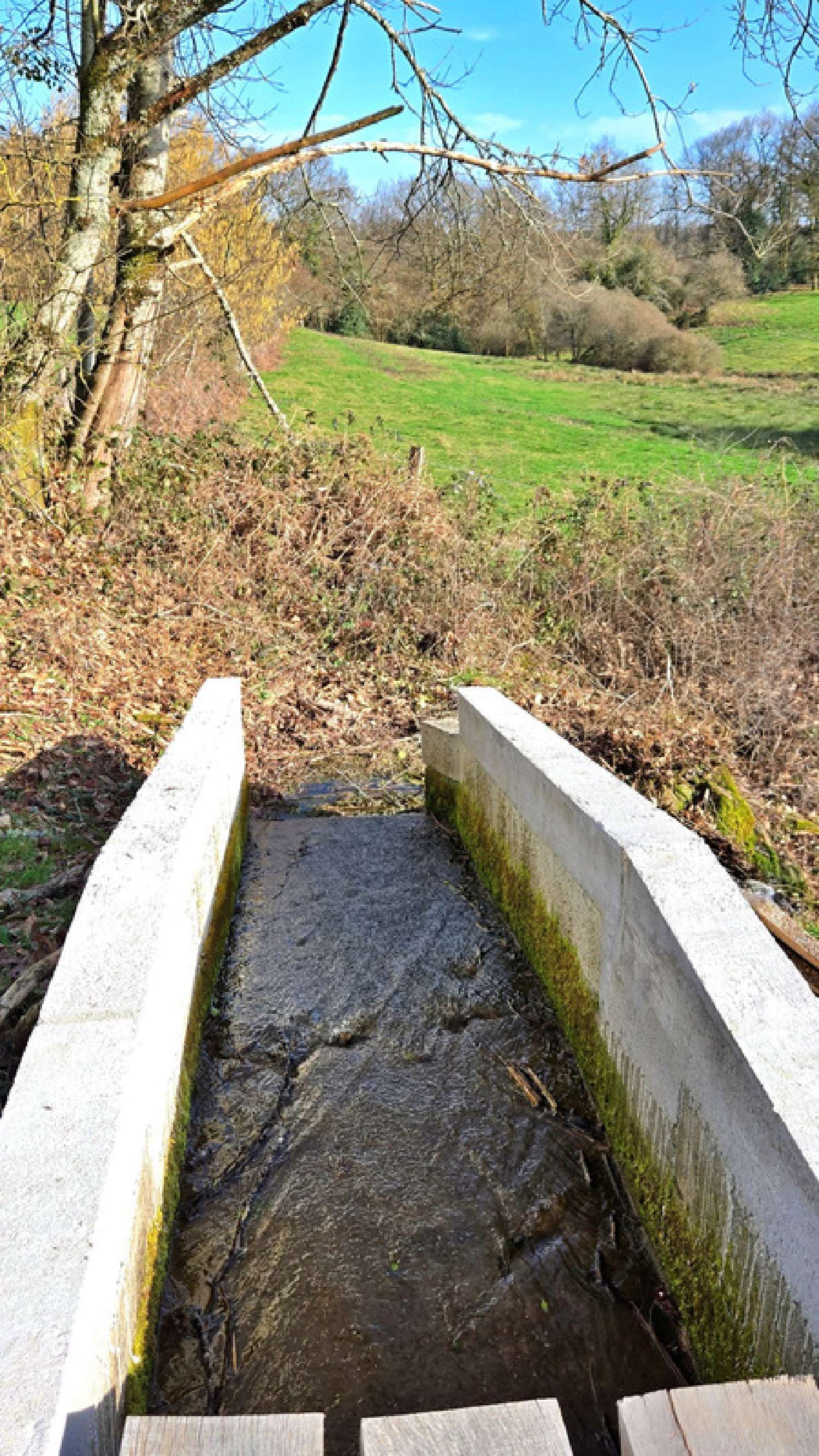 kaufen Grundstück Cieux Haute-Vienne 8
