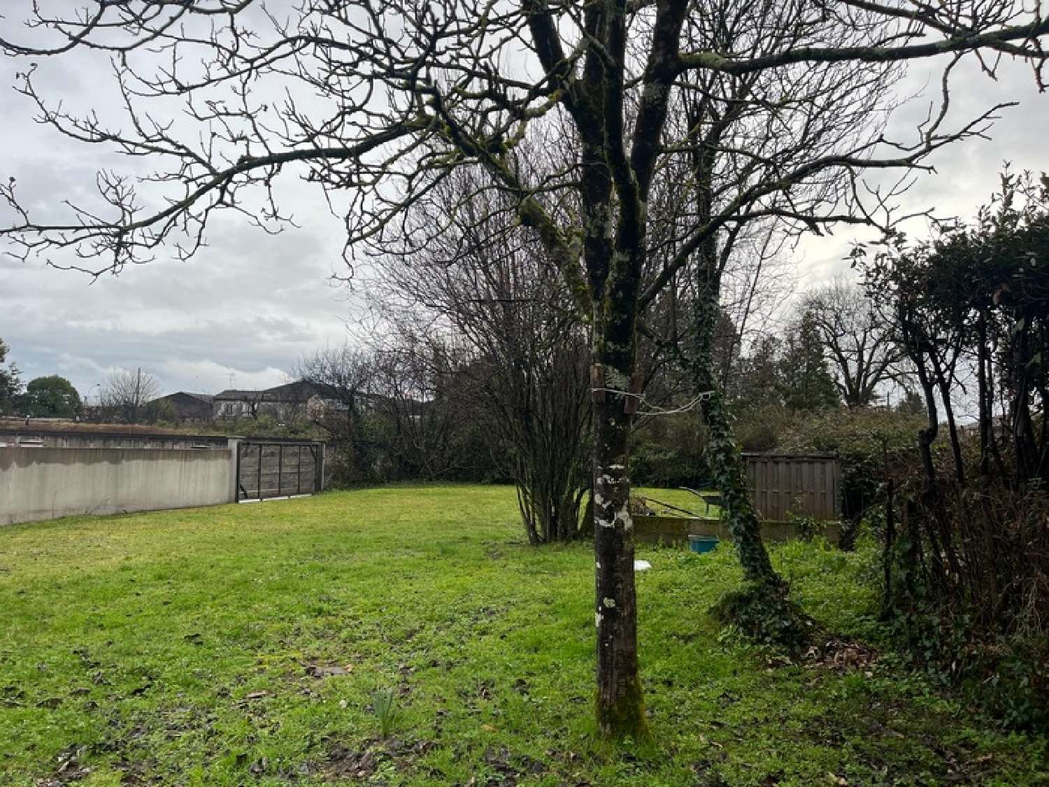 for sale terrain Cognac Charente 6