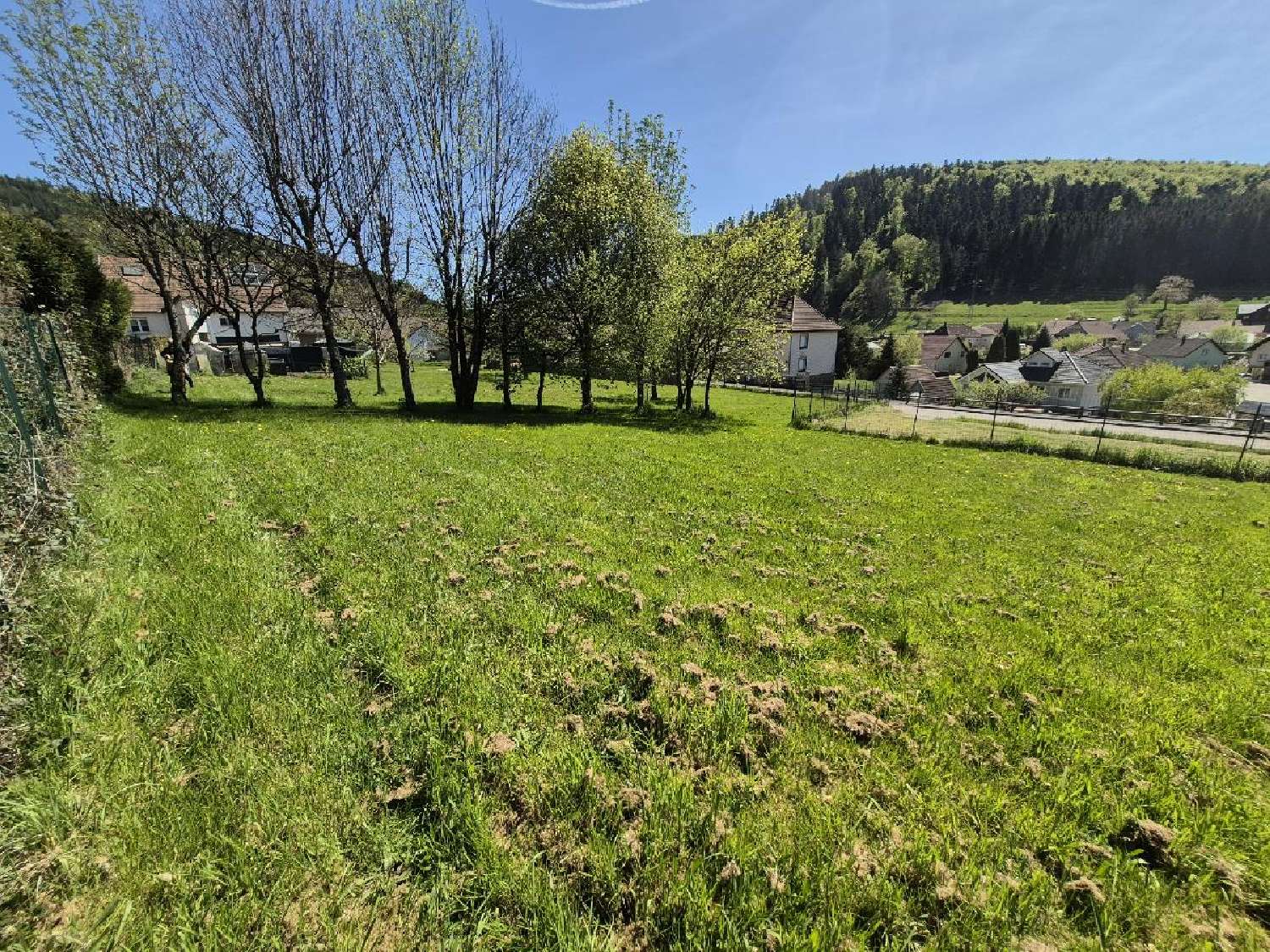  à vendre terrain Colroy-la-Roche Bas-Rhin 3
