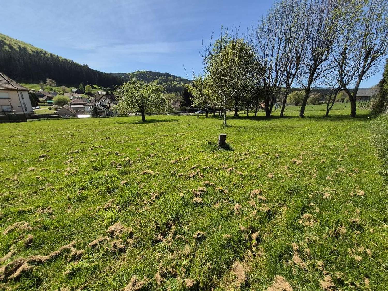  for sale terrain Colroy-la-Roche Bas-Rhin 1