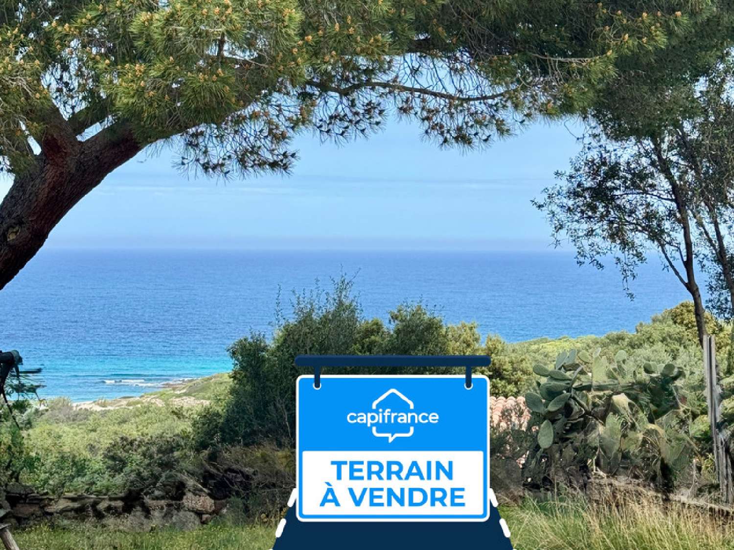  à vendre terrain Corbara Haute-Corse 1