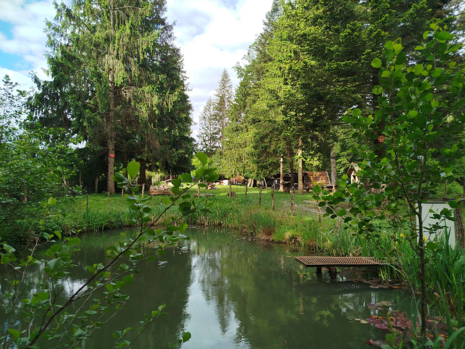 te koop terrein Coublanc Haute-Marne 2