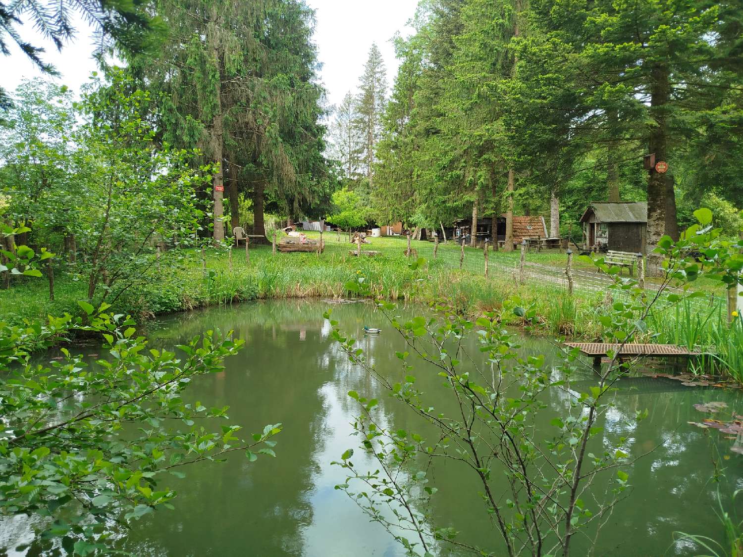 te koop terrein Coublanc Haute-Marne 3