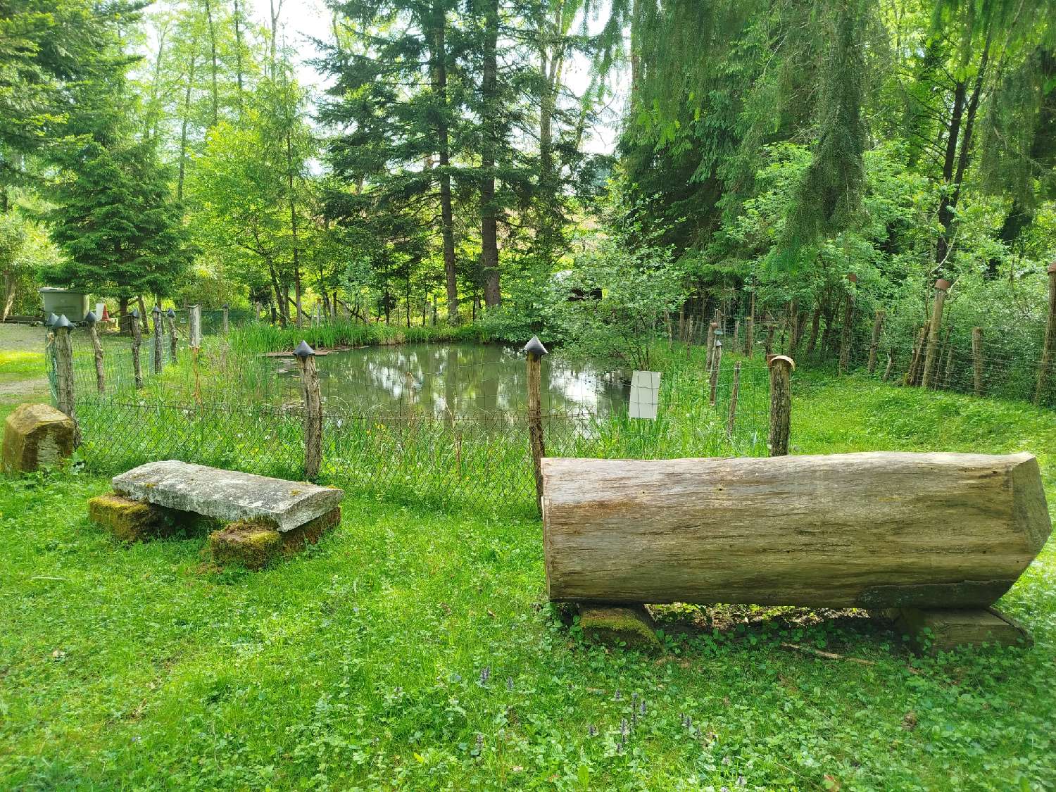 te koop terrein Coublanc Haute-Marne 4