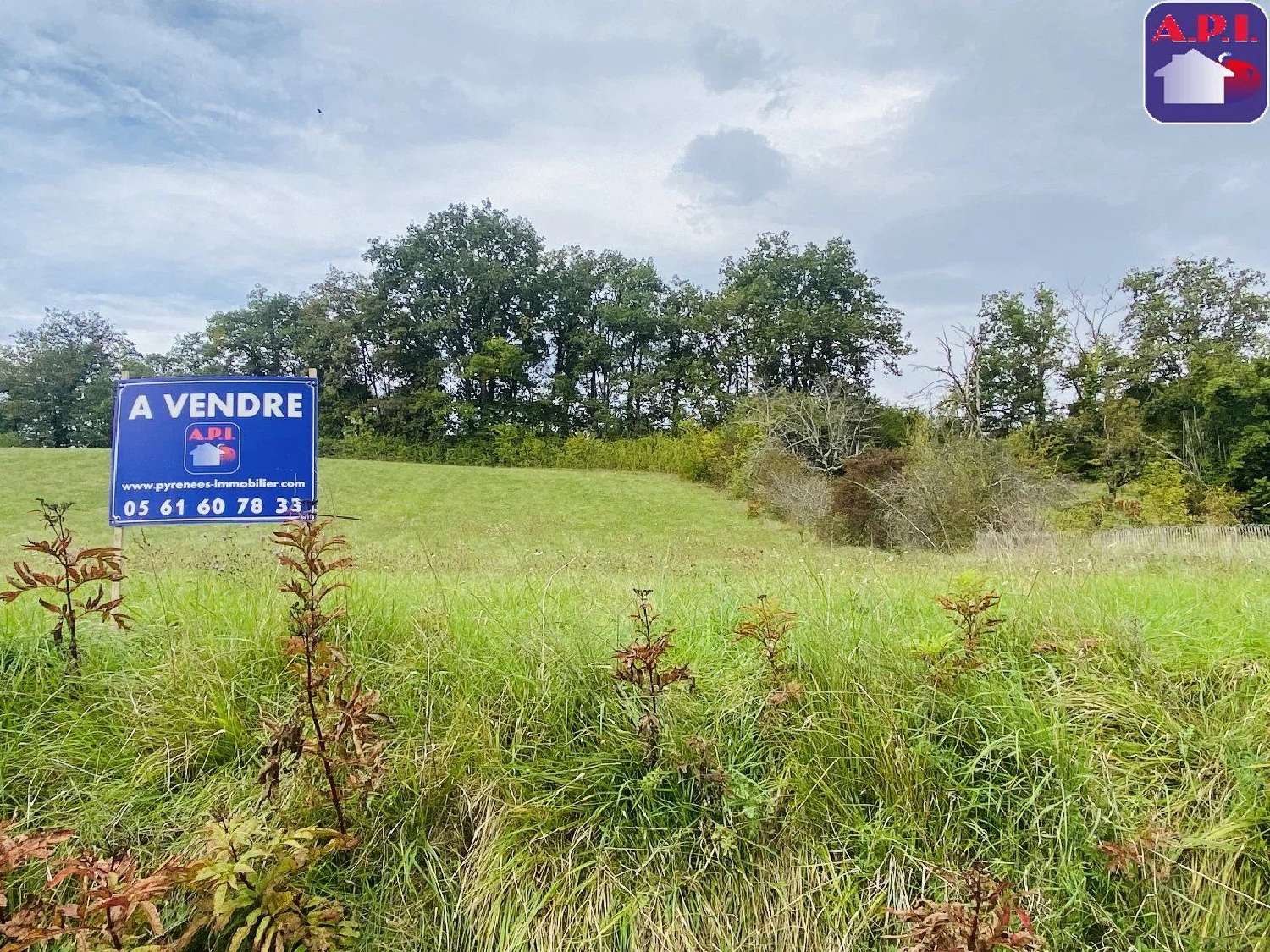  en venta terreno Daumazan-sur-Arize Ariège 1