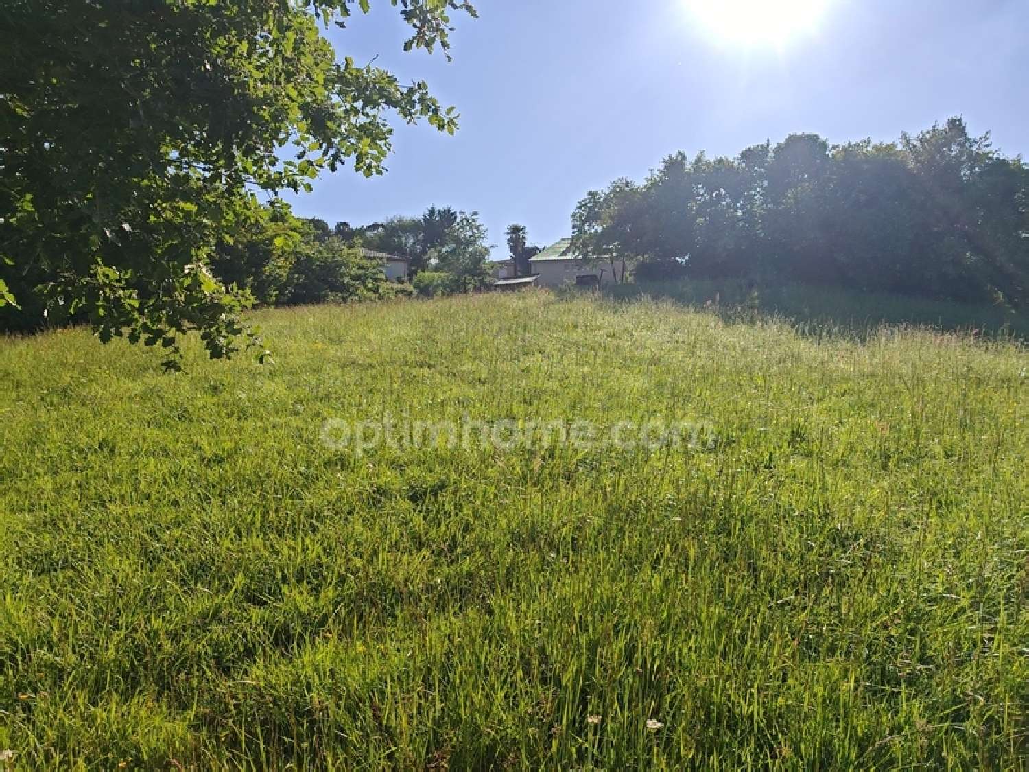  for sale terrain Eauze Gers 8