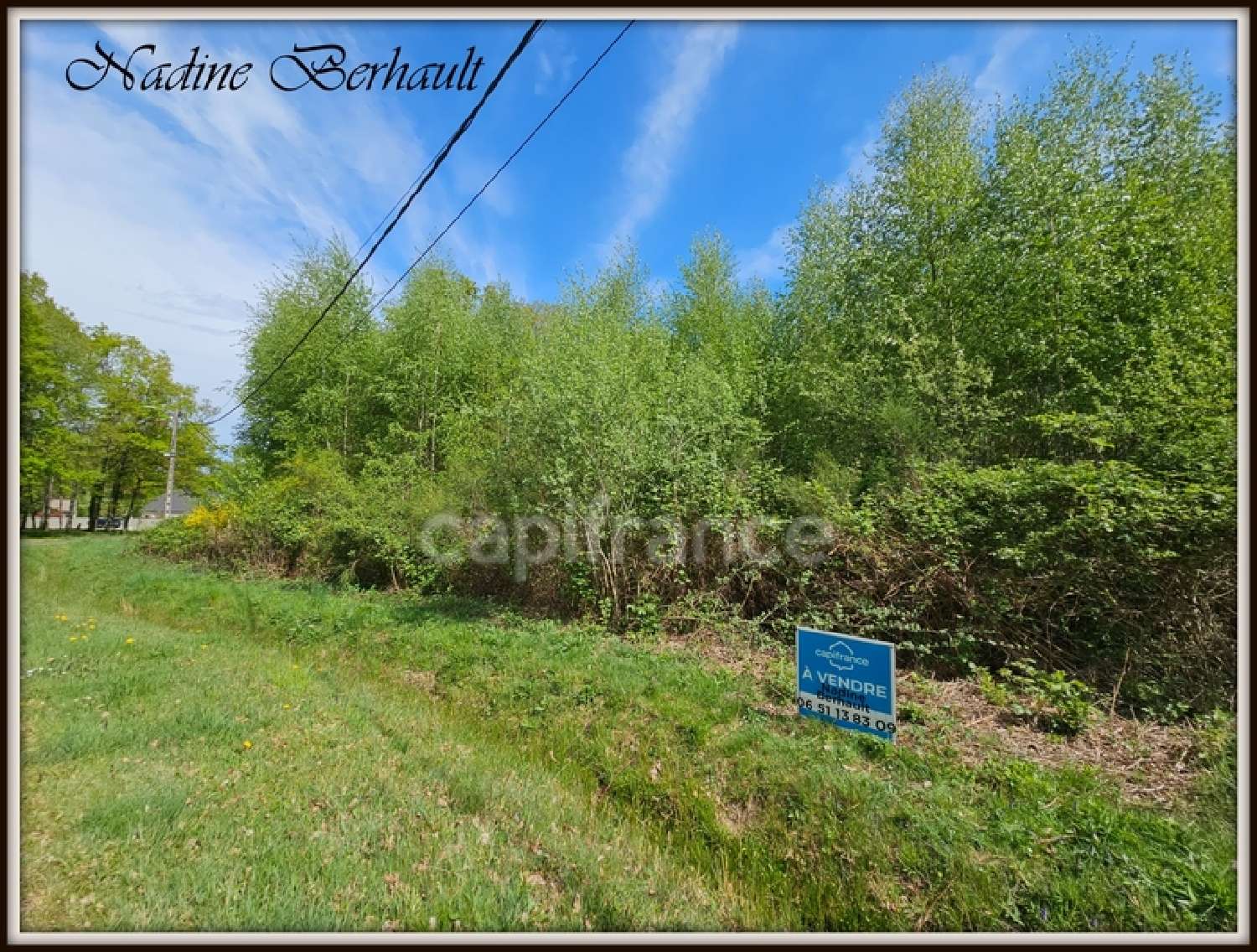  for sale terrain Ervauville Loiret 1