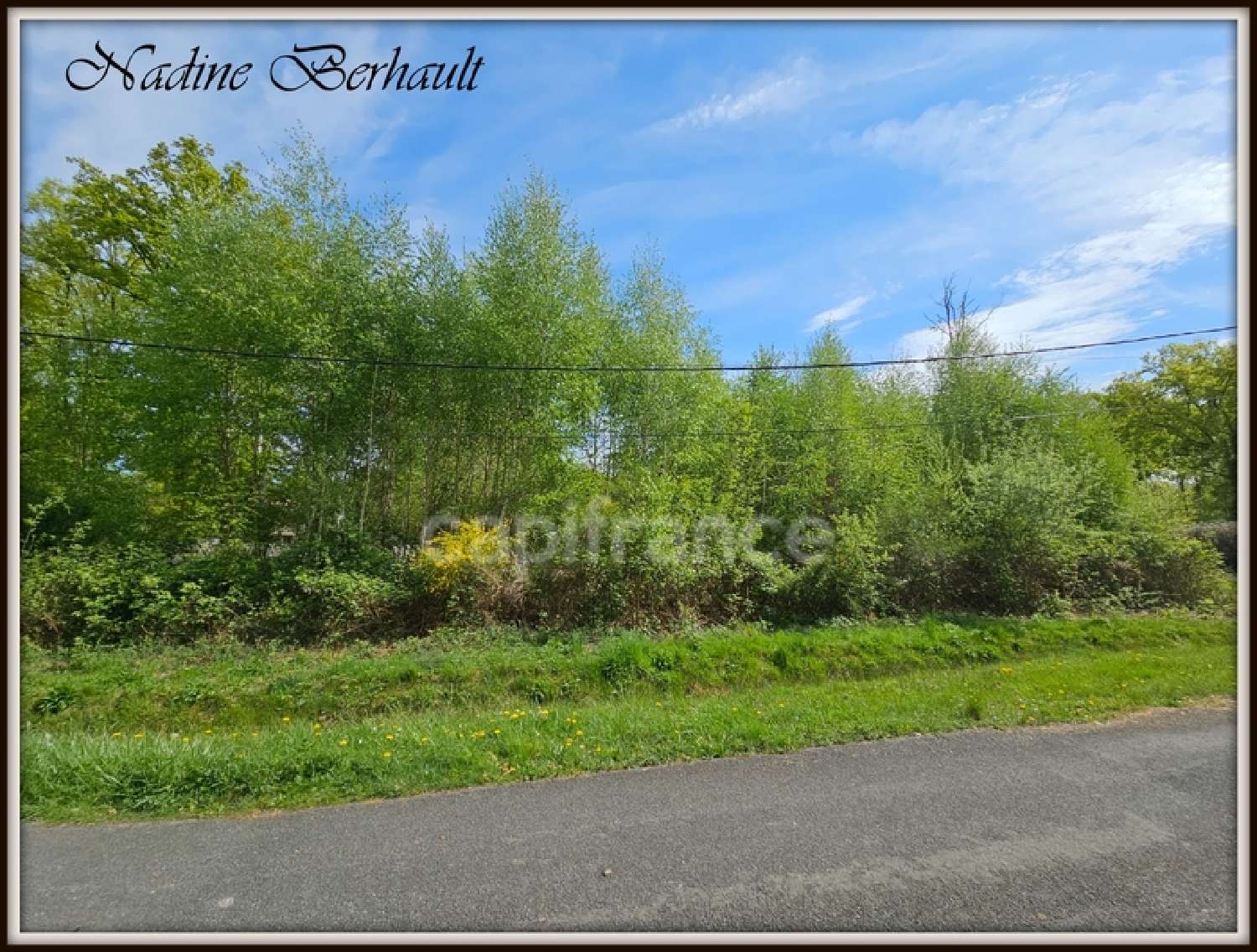  for sale terrain Ervauville Loiret 3