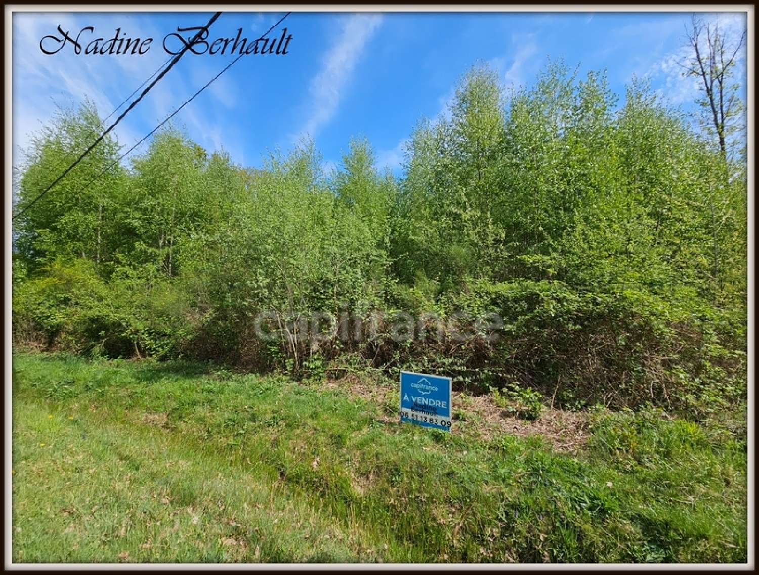  for sale terrain Ervauville Loiret 5