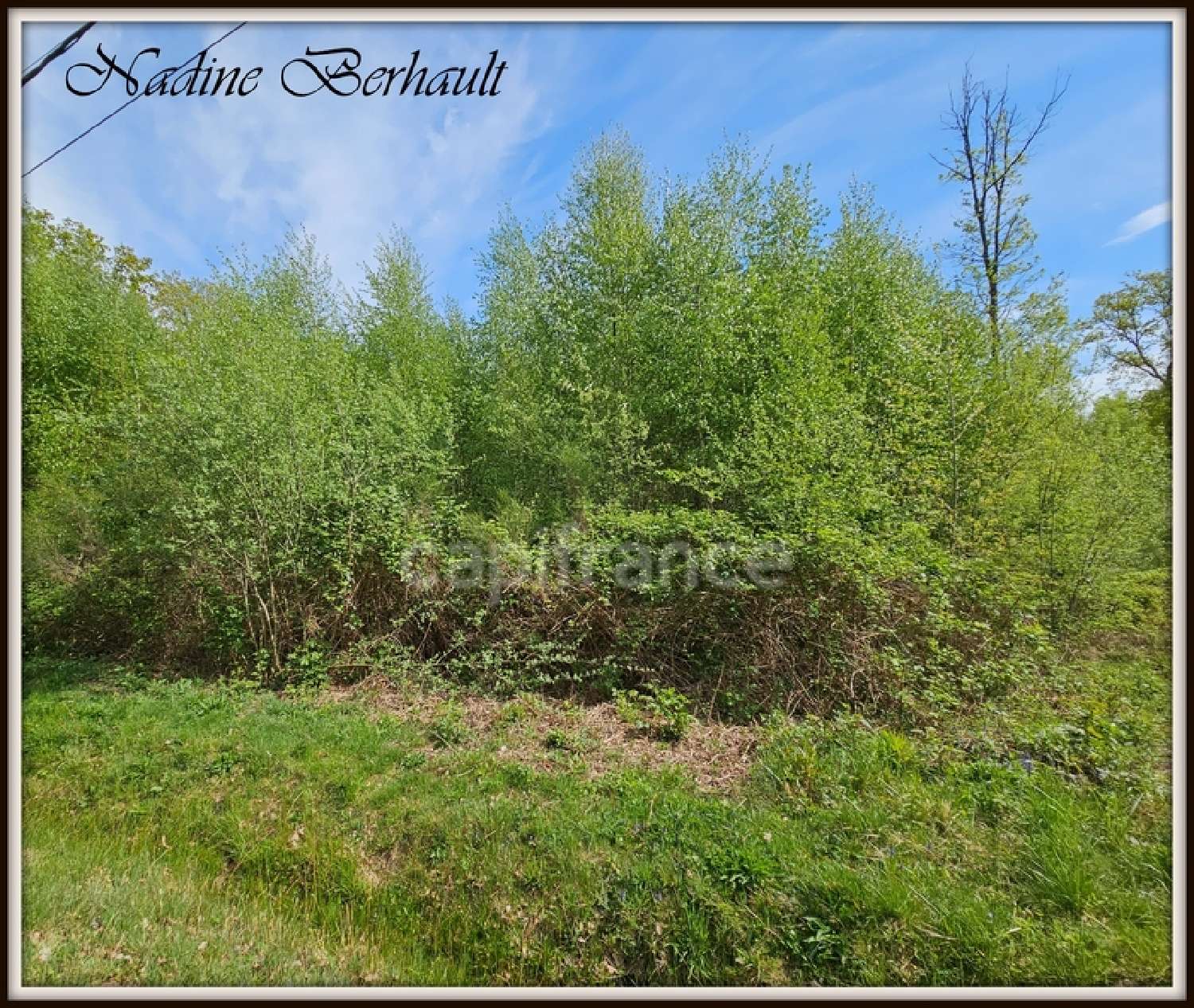  for sale terrain Ervauville Loiret 6