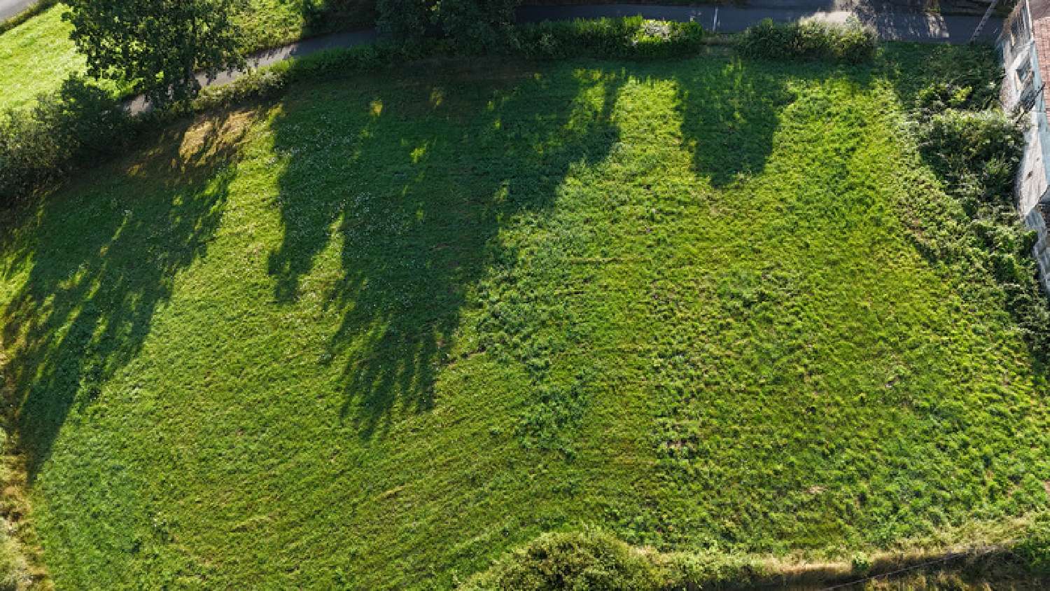 for sale terrain Essertines-en-Donzy Loire 2