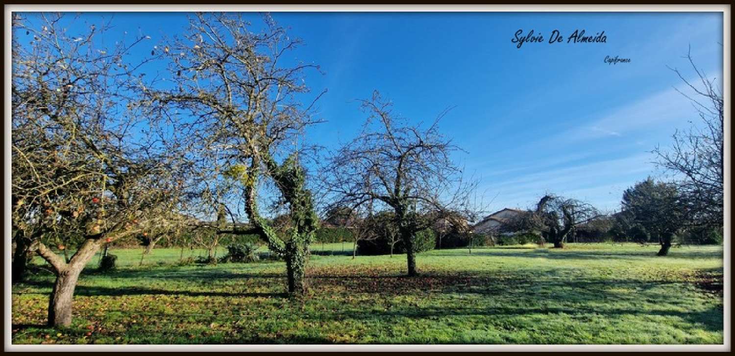  à vendre terrain Feillens Ain 1