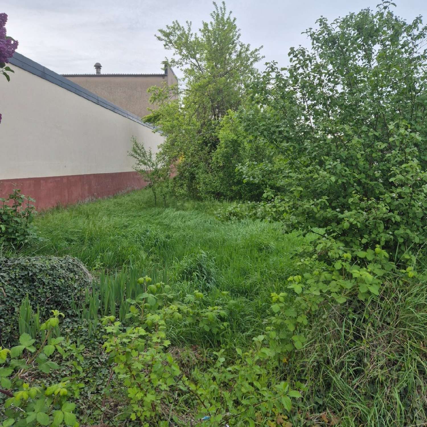  te koop terrein Florange Moselle 3