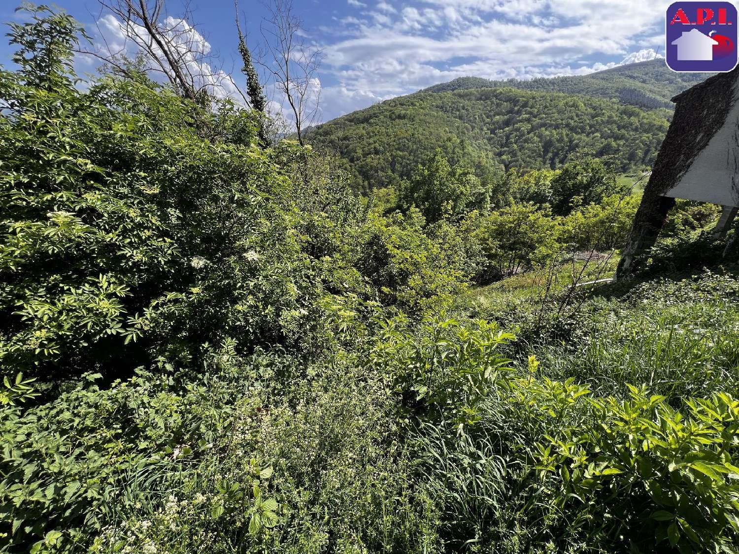 à vendre terrain Foix Ariège 3