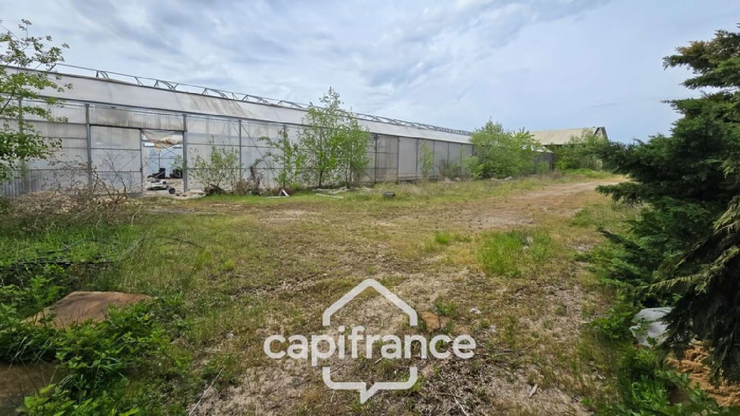  for sale terrain Gergy Saône-et-Loire 2