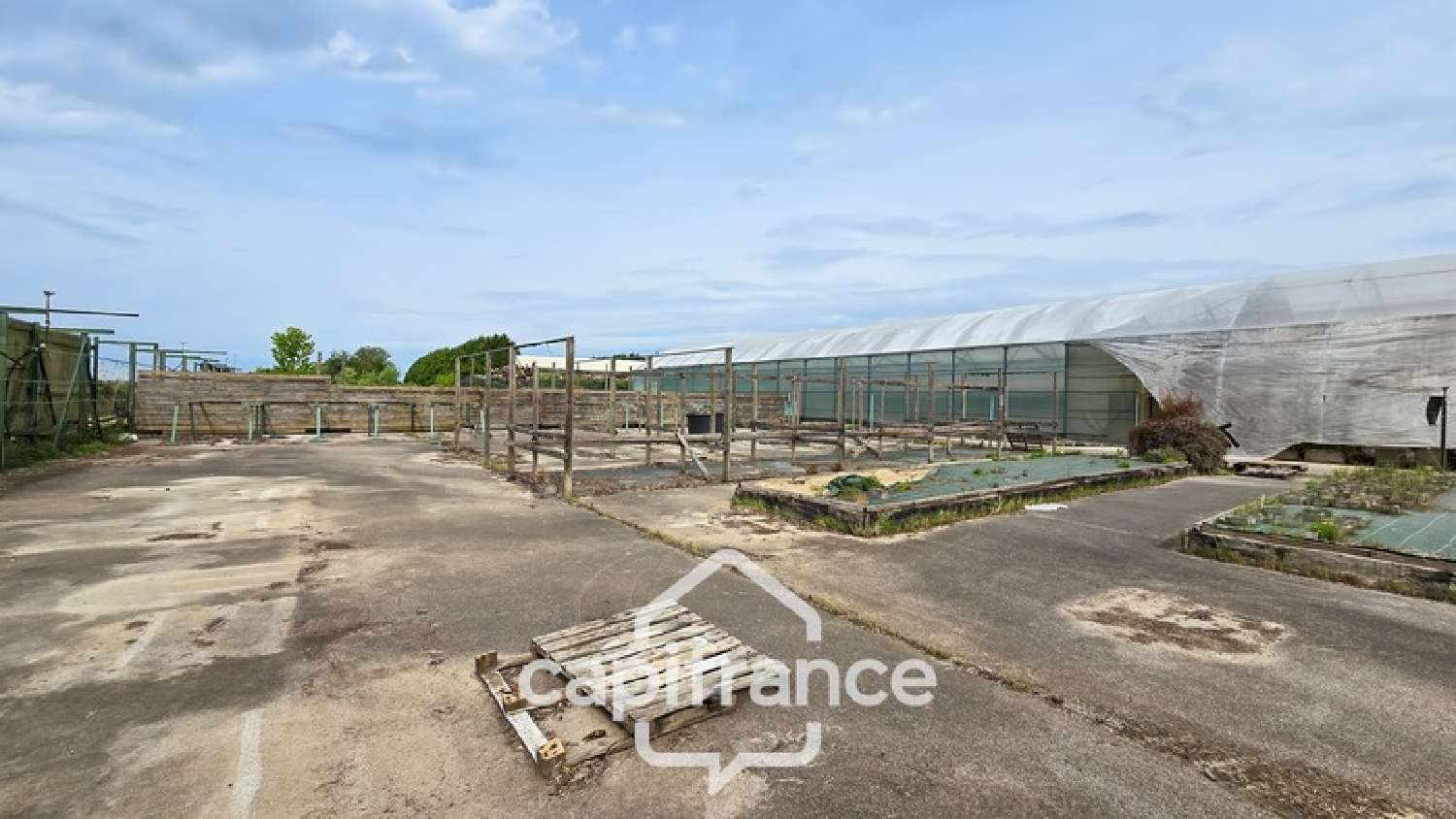  for sale terrain Gergy Saône-et-Loire 5