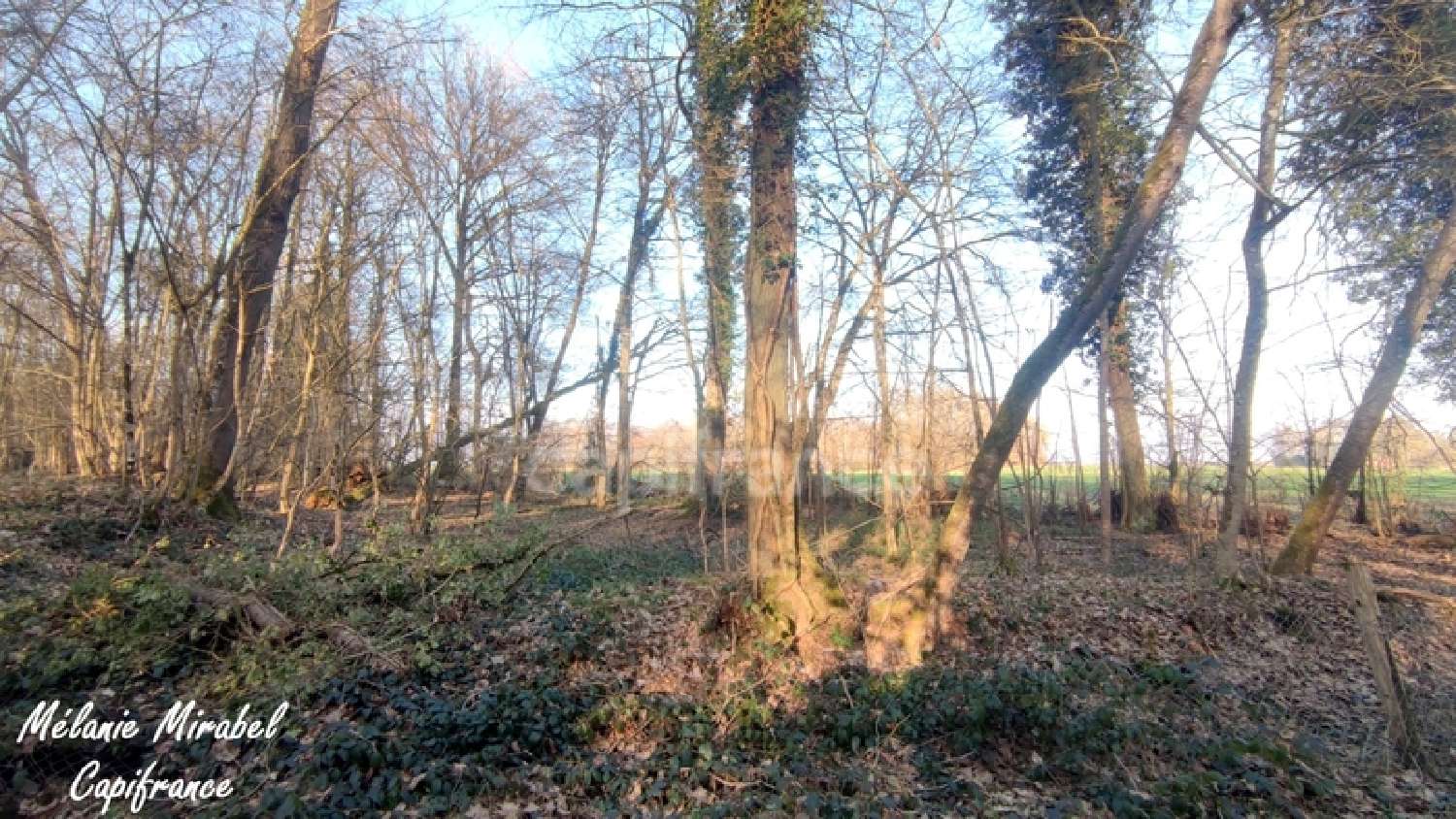 for sale terrain Gouville Eure 2