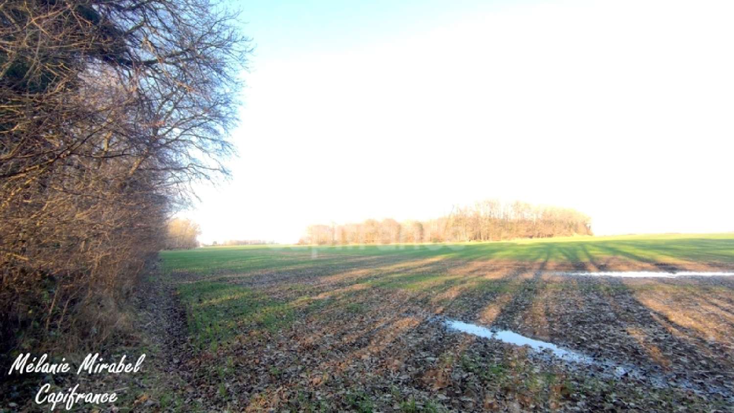 for sale terrain Gouville Eure 4