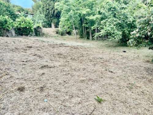 Grasse Alpes-Maritimes Grundstück Bild 7347442